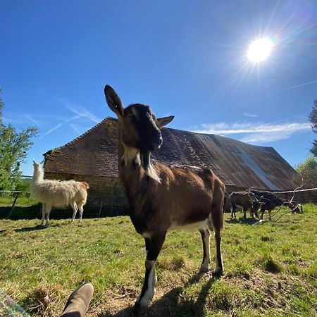 The Llama Farm France Saint-Cyr-Les-Champagnes Eksteriør bilde