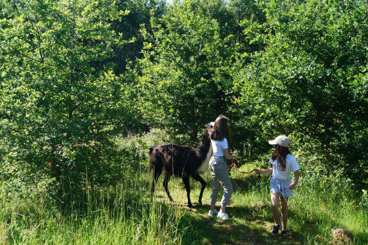 The Llama Farm France Saint-Cyr-Les-Champagnes Eksteriør bilde