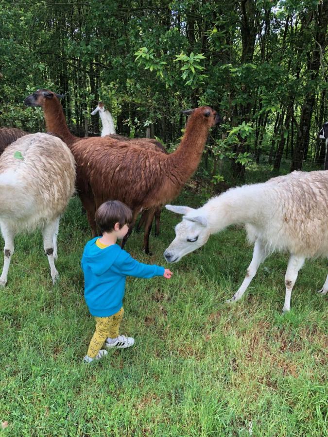 The Llama Farm France Saint-Cyr-Les-Champagnes Eksteriør bilde