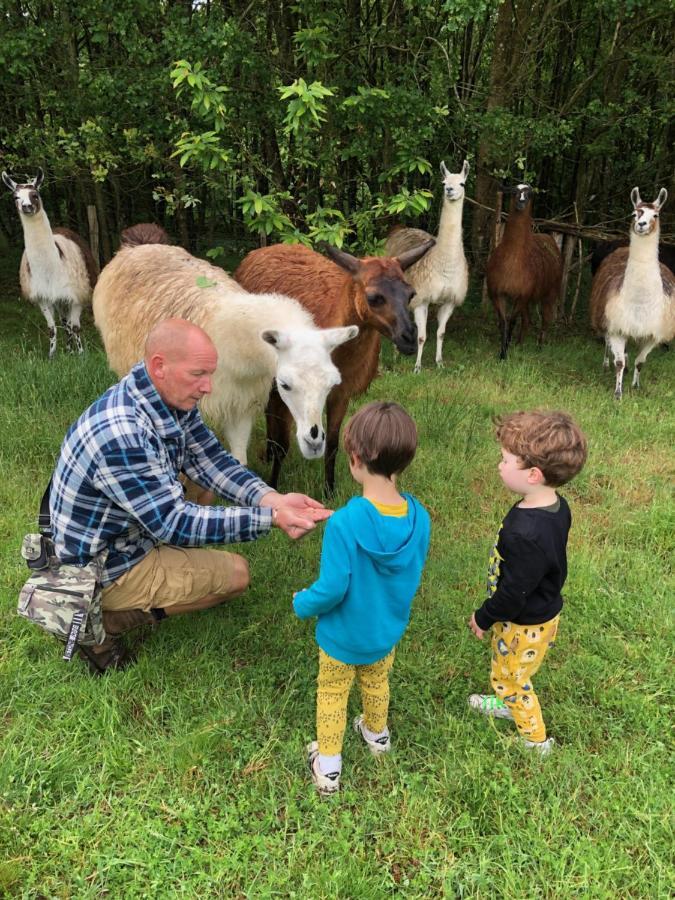 The Llama Farm France Saint-Cyr-Les-Champagnes Eksteriør bilde